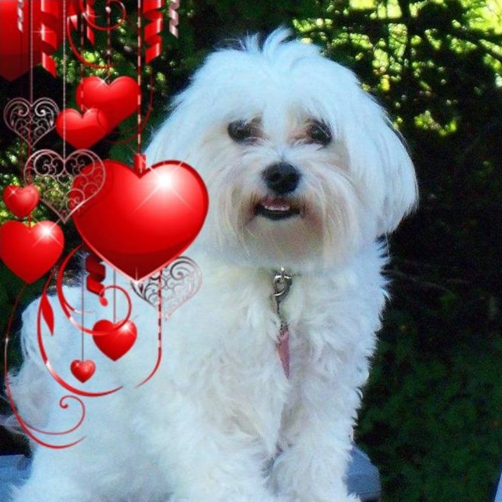 Meet your Posher, Debra